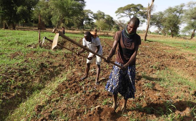 The Farming Warriors