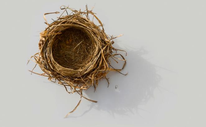 empty bird's nest