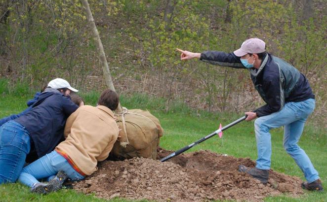 Church of the Servant in Grand Rapids, Mich., planted native trees on the church grounds to improve the local environment.