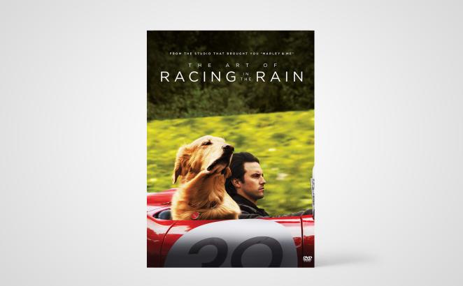 The Art of Racing in the Rain