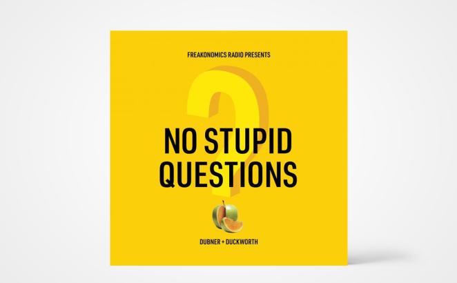 No Stupid Questions Podcast