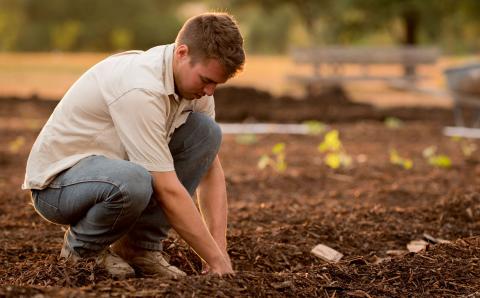 Adam Was Designed to Be a Gardener