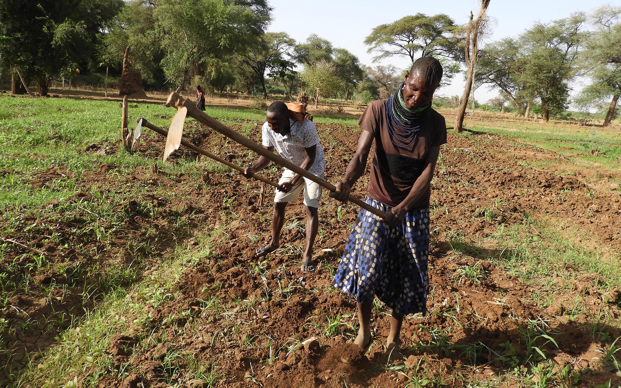 The Farming Warriors