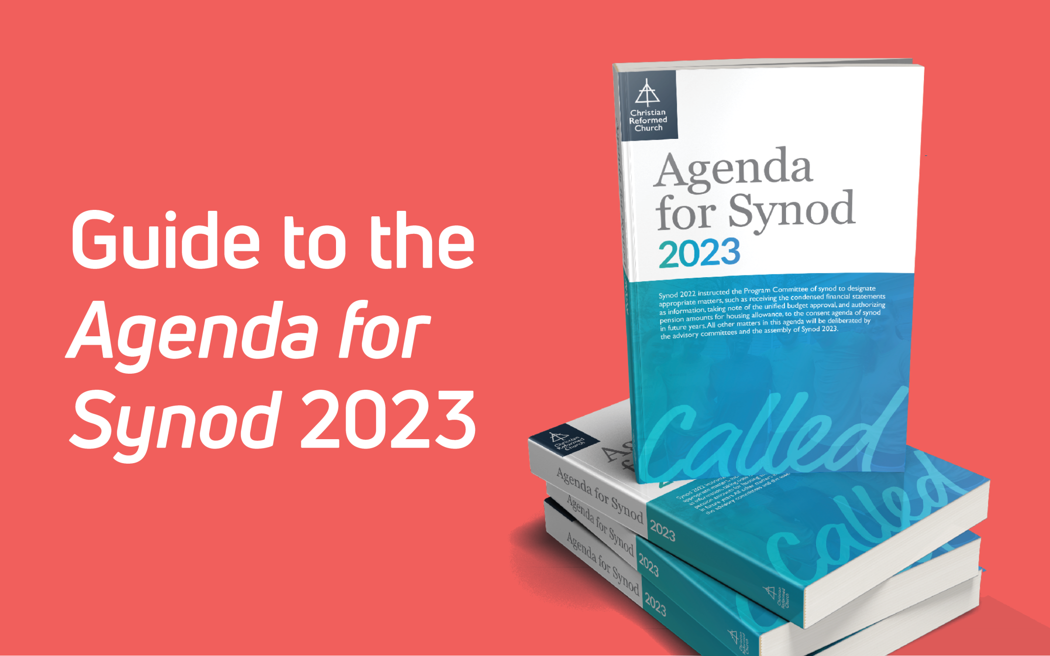 What would you want to say at the Synod?