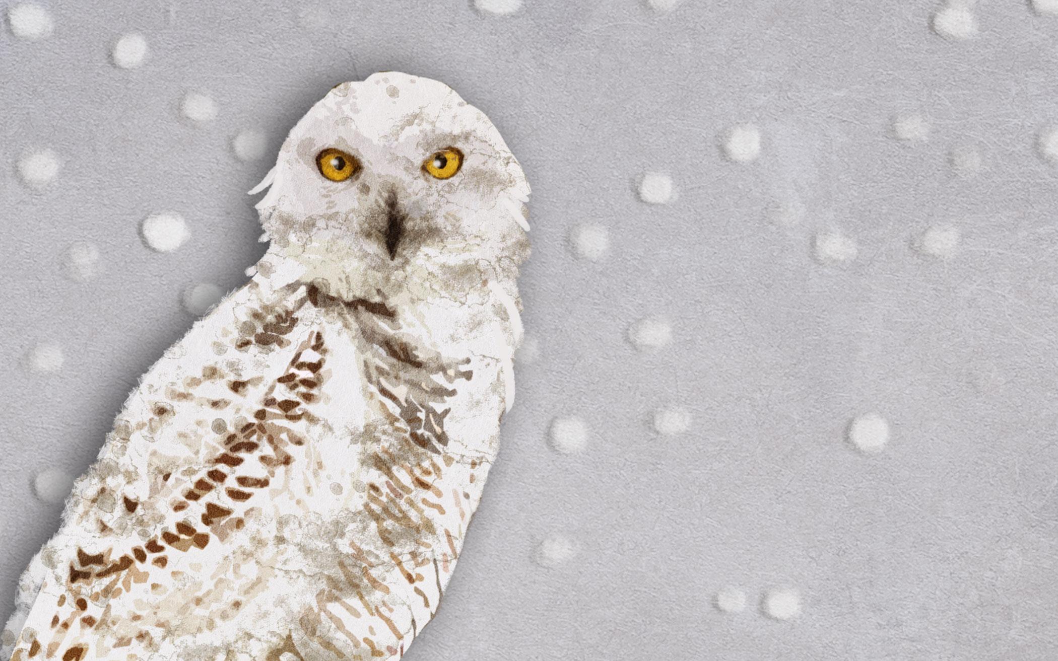 Cool Winter Coats The Banner