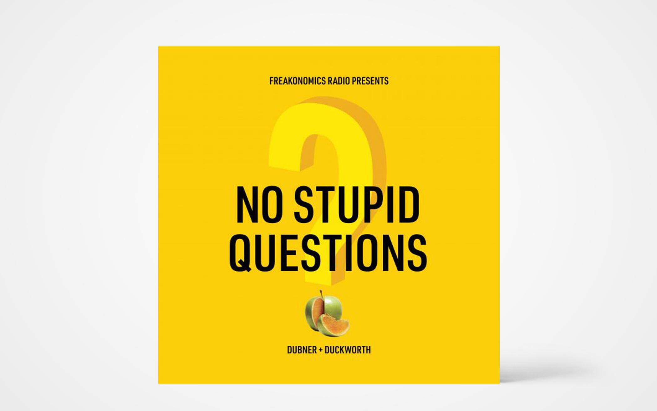 No Stupid Questions Podcast