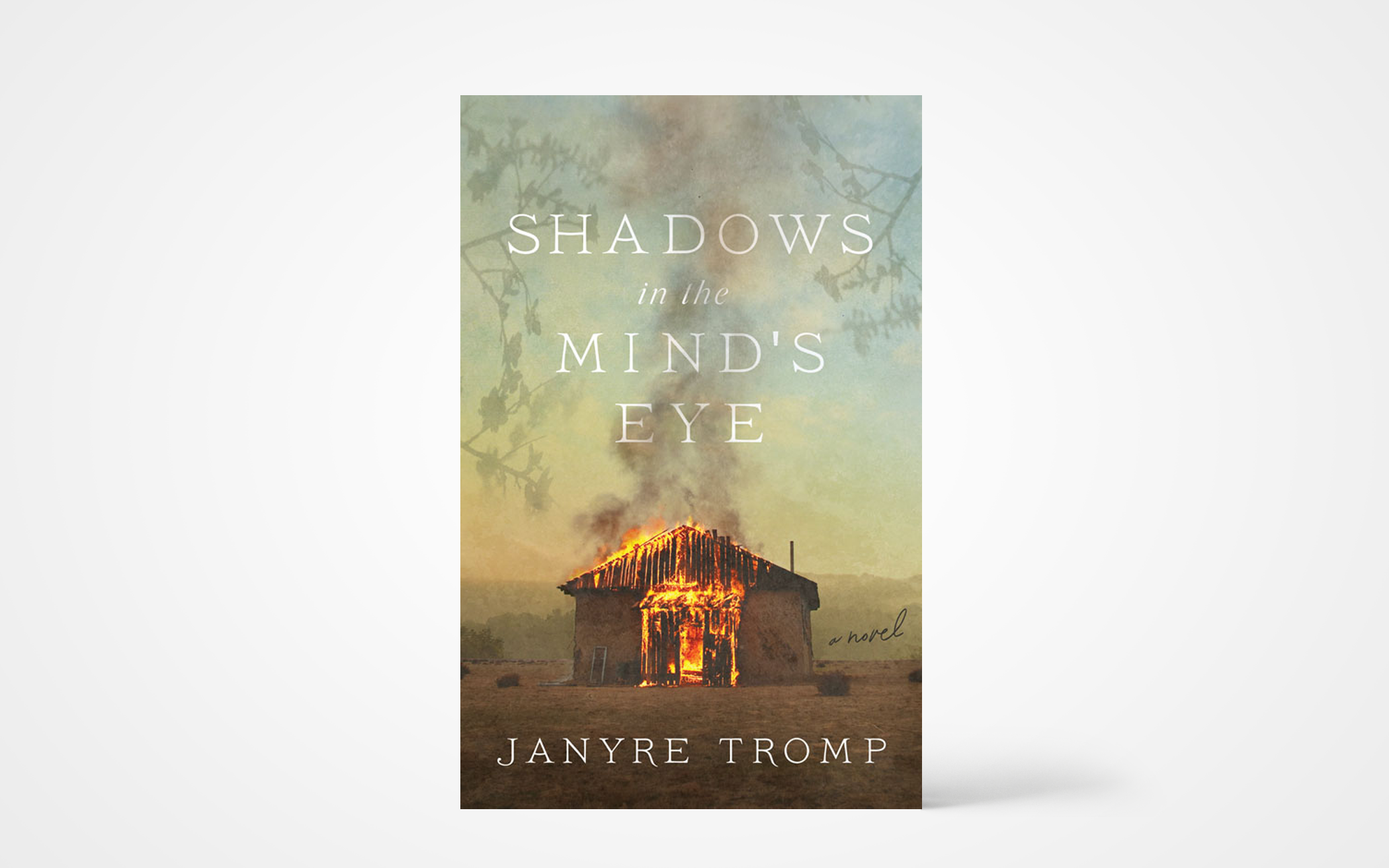 Shadows in the Mind’s Eye