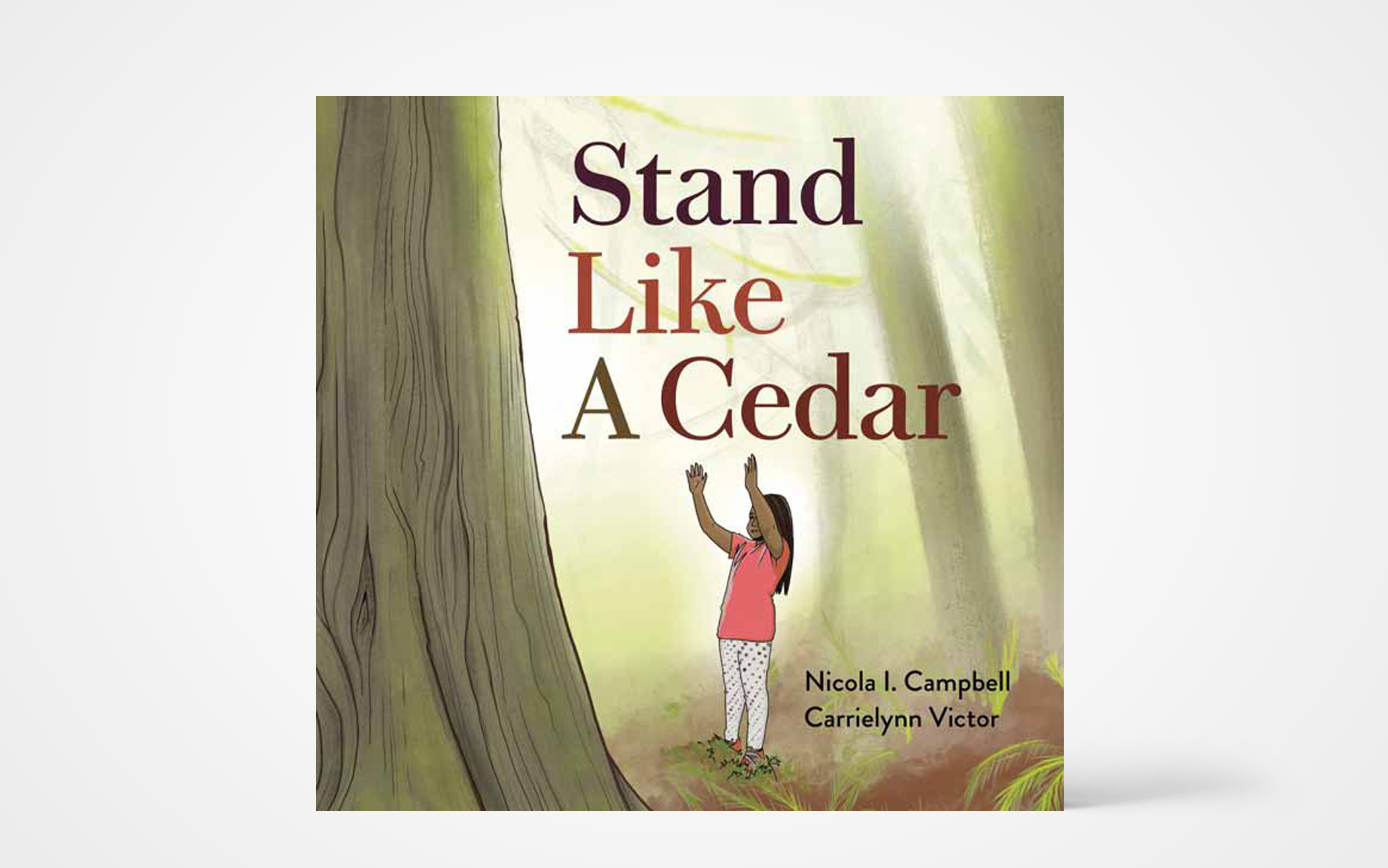 Stand Like a Cedar