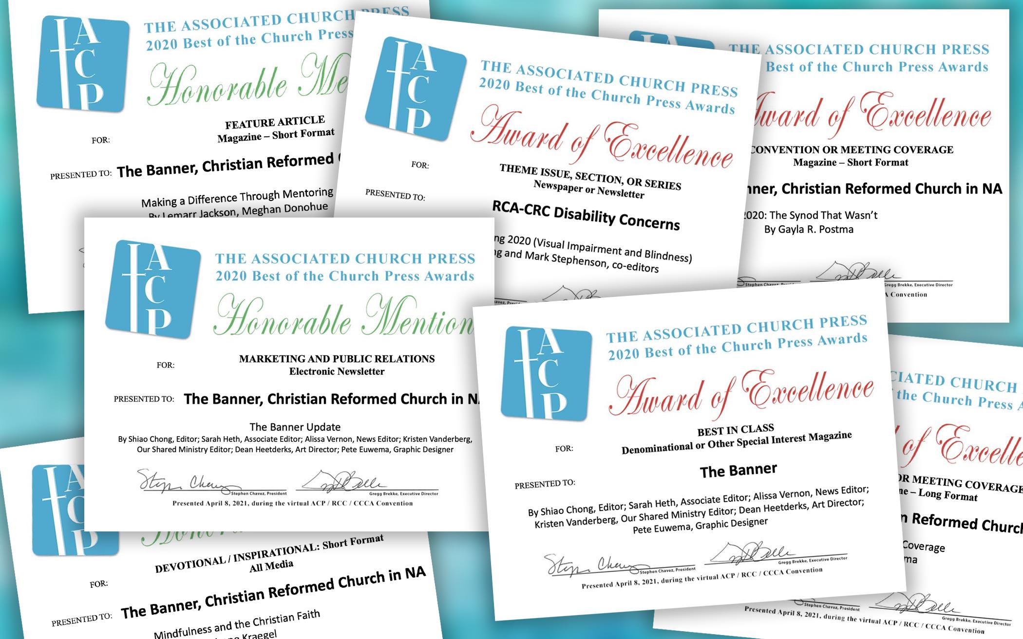 9 Church Press Awards for The Banner, Disability Concerns