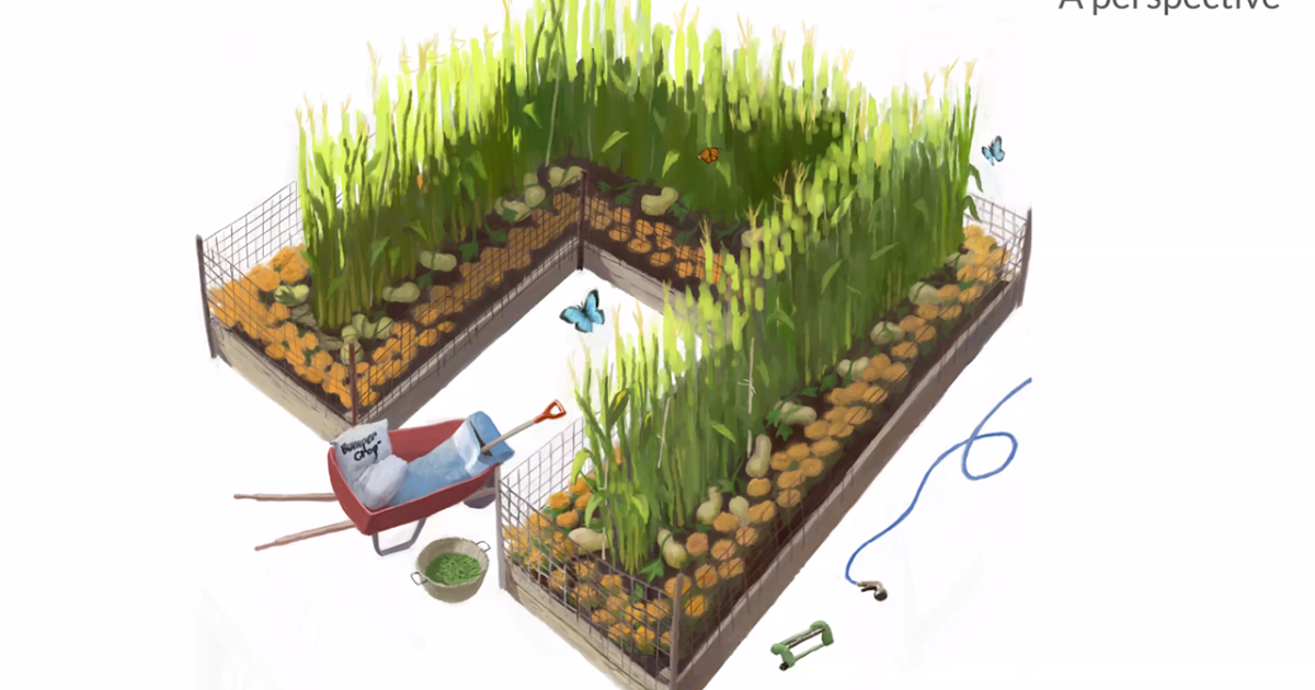 Ministry Shares are ‘Irrigation System’ and Other Metaphors at February Council Meeting