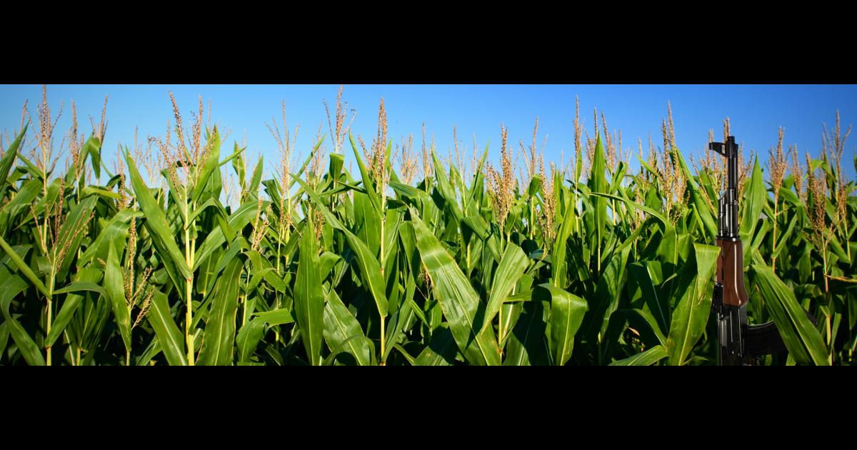Ida Kaastra-Mutoigo: From Corn Fields to Conflict Zones | The Banner