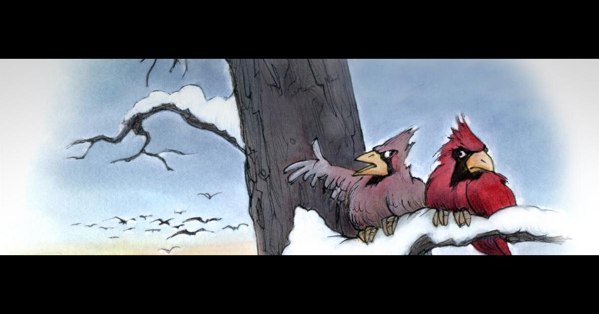 Feathered Flights The Banner